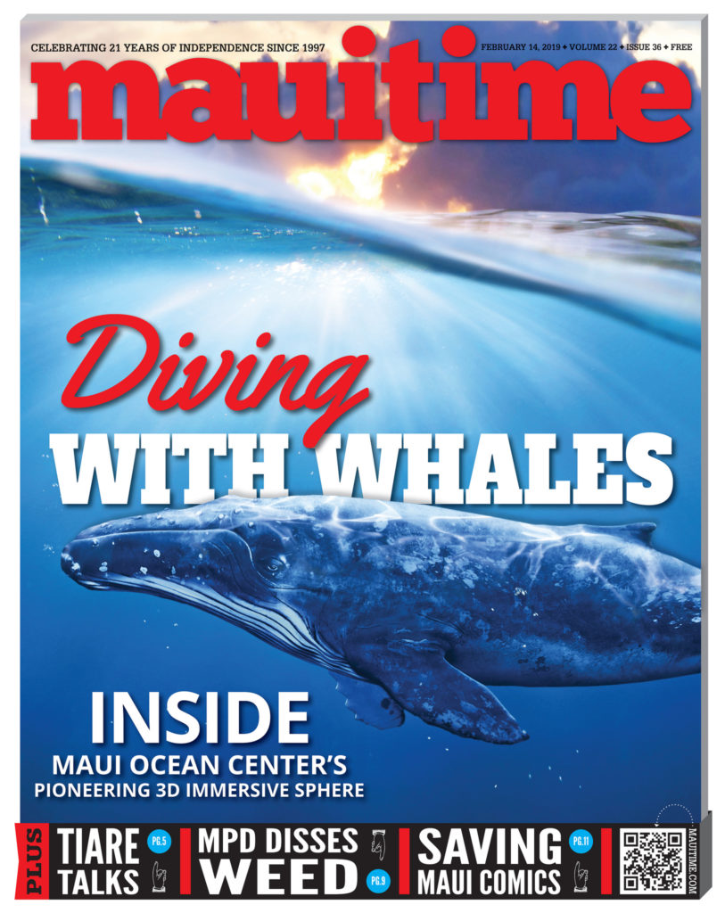 Diving With Humpback Whales Inside Maui Ocean Center’s