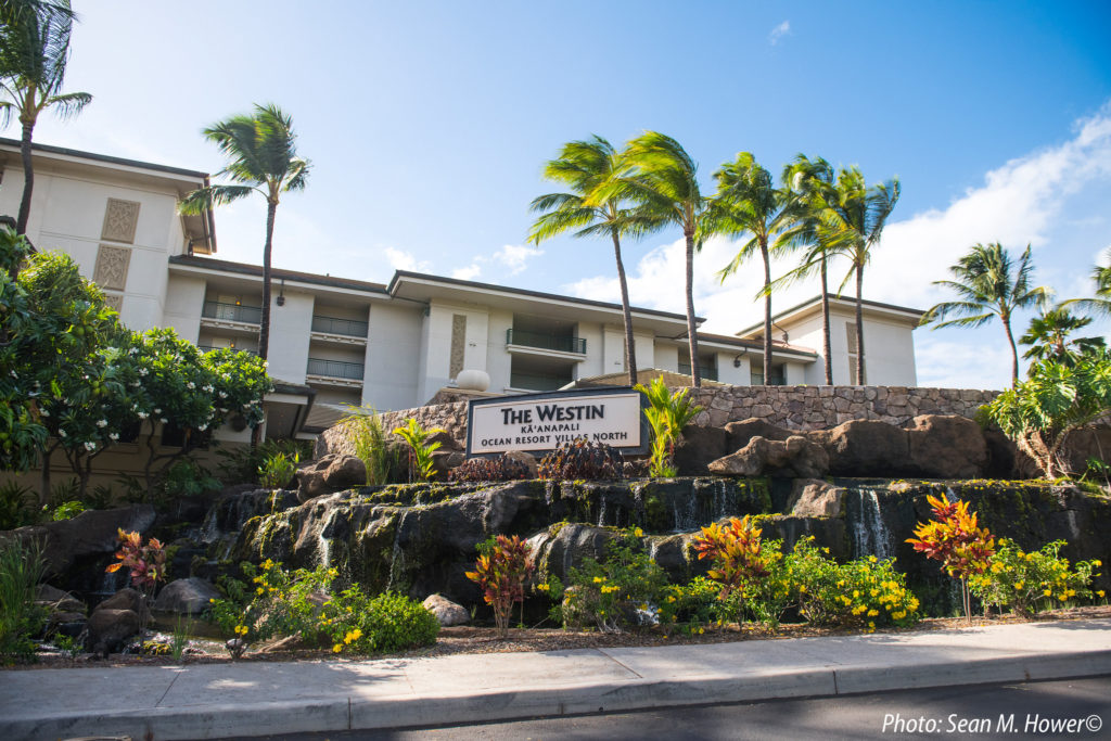 maui revealed hotels