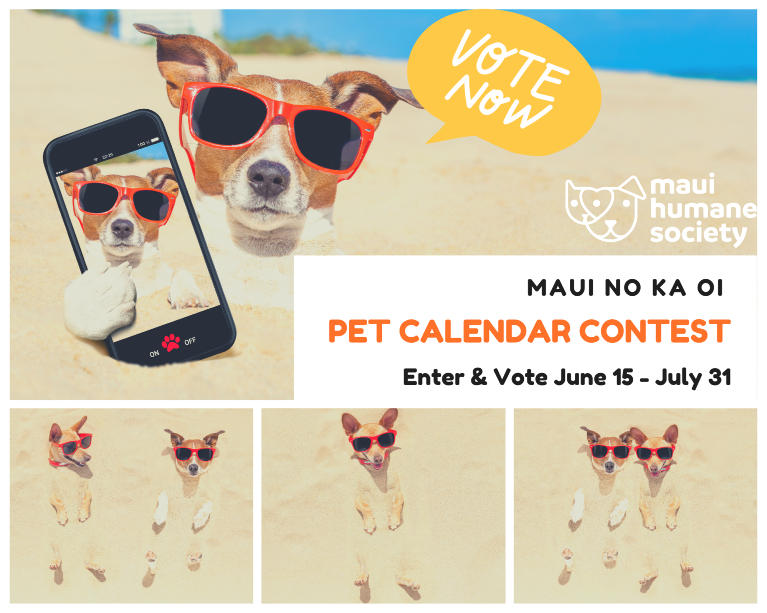 Maui Humane Society Annual Pet Calendar Contest Has Begun