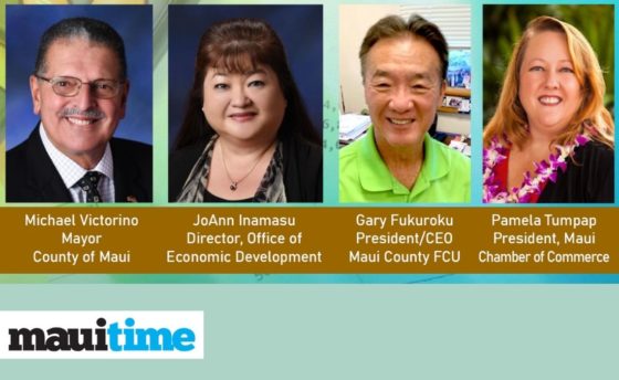 Business relief options featured in Filipino Chamber online mixer