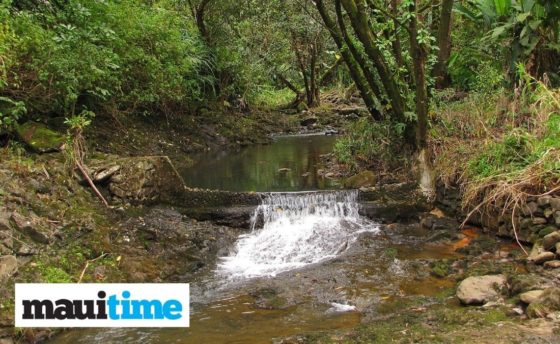 Haiku and Paia Residents Ask to Be Heard Before County Council Votes on Maui Island Water Plan