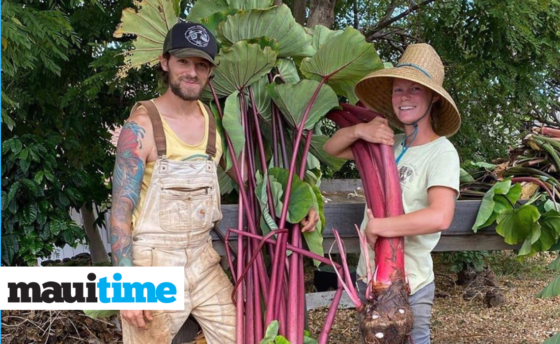 Small Farmers Say Vote YES to Maui County Department of Agriculture